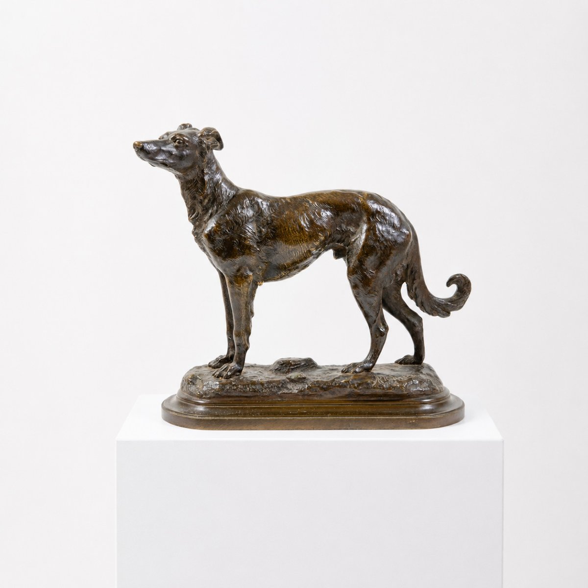 RICHARD (XXème siècle) – Lévrier aux aguets, sculpture en bronze à patine nuance de brun