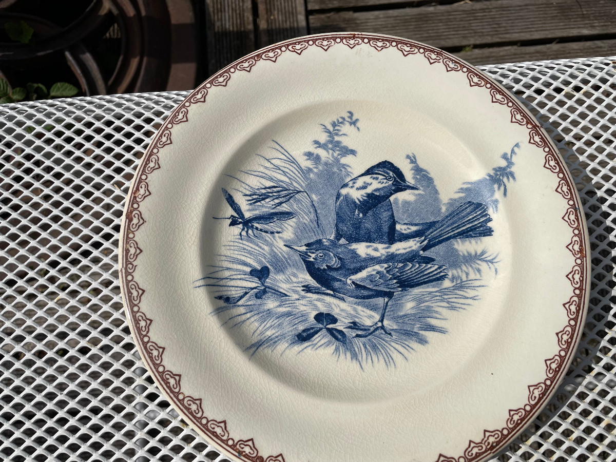 Set Of 6 Terre De Fer Plates Decorated With Birds And Insects-photo-3