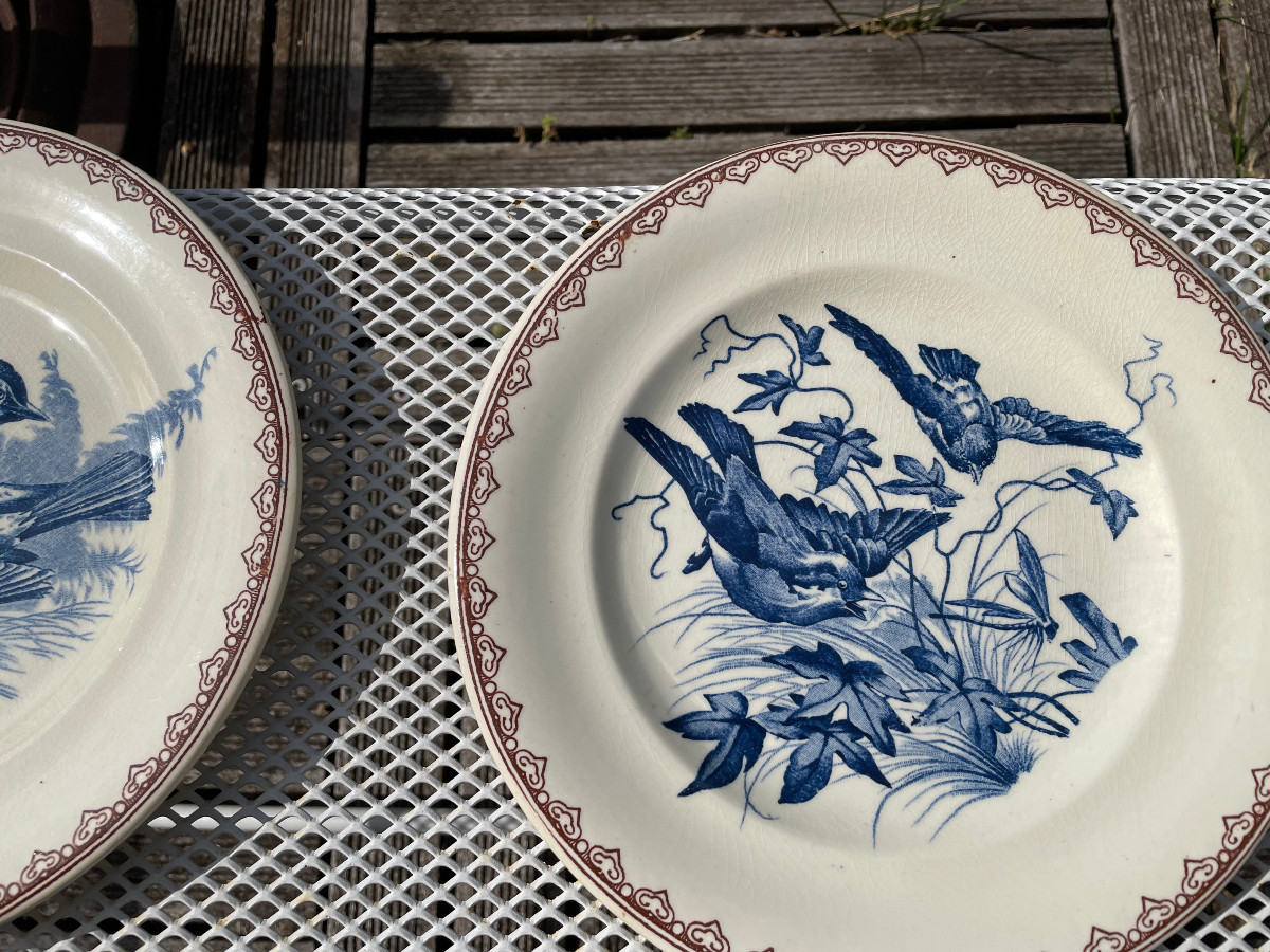 Set Of 6 Terre De Fer Plates Decorated With Birds And Insects-photo-4