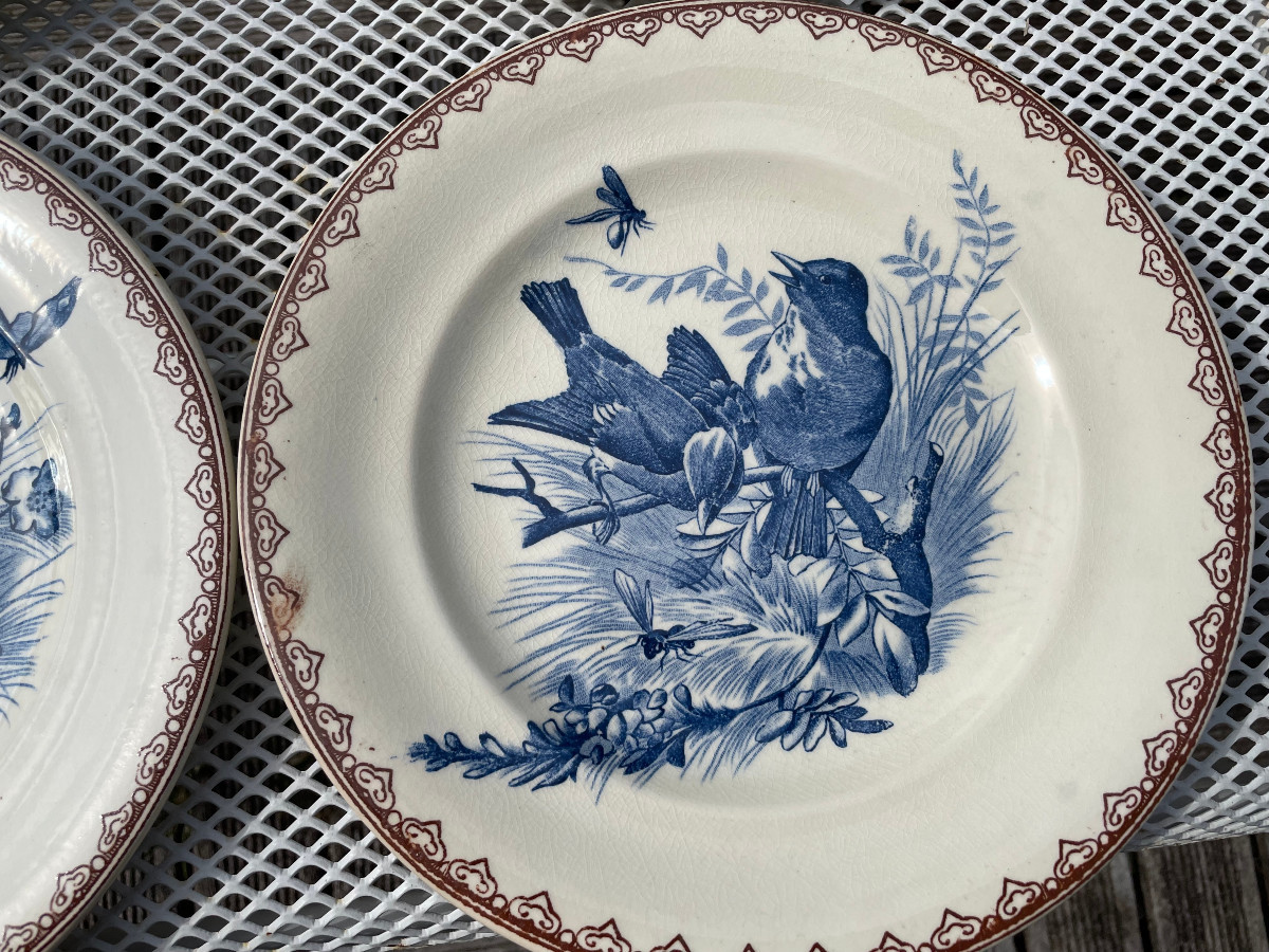 Set Of 6 Terre De Fer Plates Decorated With Birds And Insects-photo-1