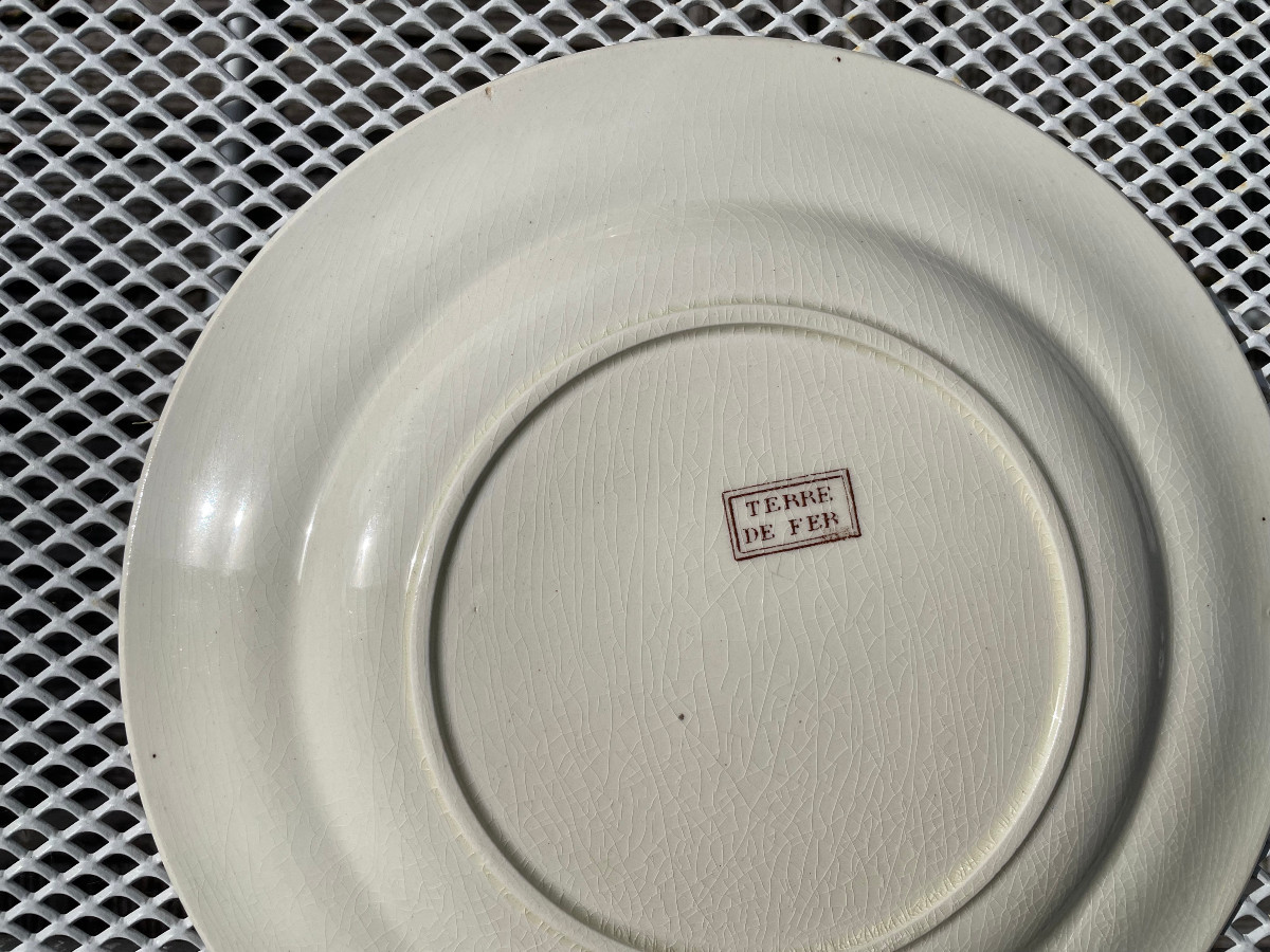 Set Of 6 Terre De Fer Plates Decorated With Birds And Insects-photo-2