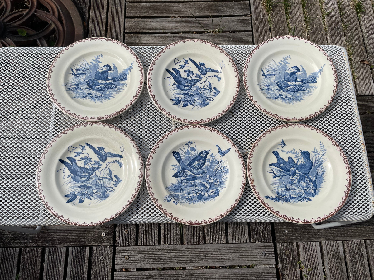 Set Of 6 Terre De Fer Plates Decorated With Birds And Insects-photo-3