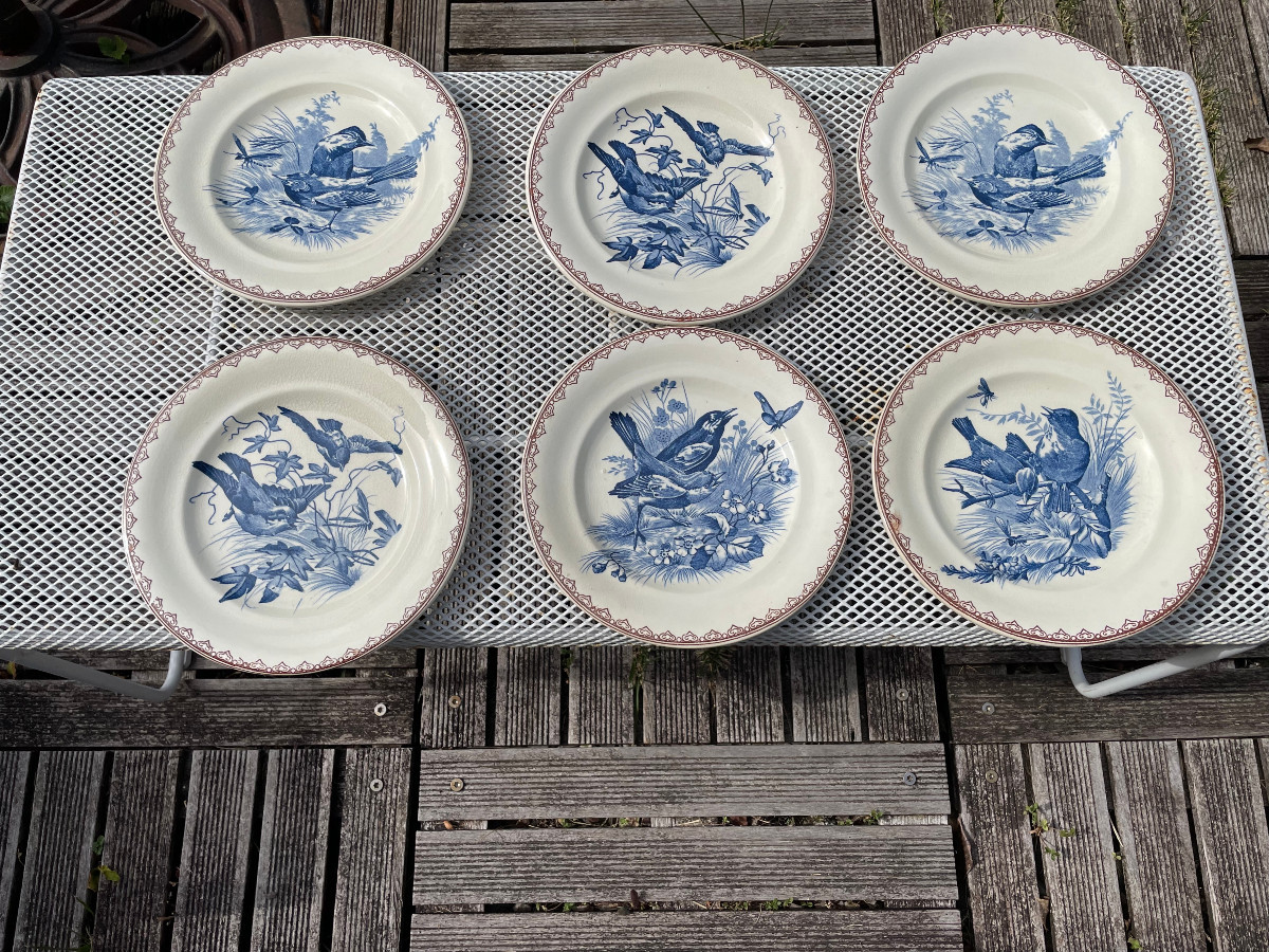 Set Of 6 Terre De Fer Plates Decorated With Birds And Insects