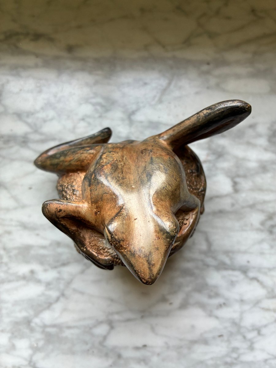Bronze Frog - Pierre Chenet-photo-3
