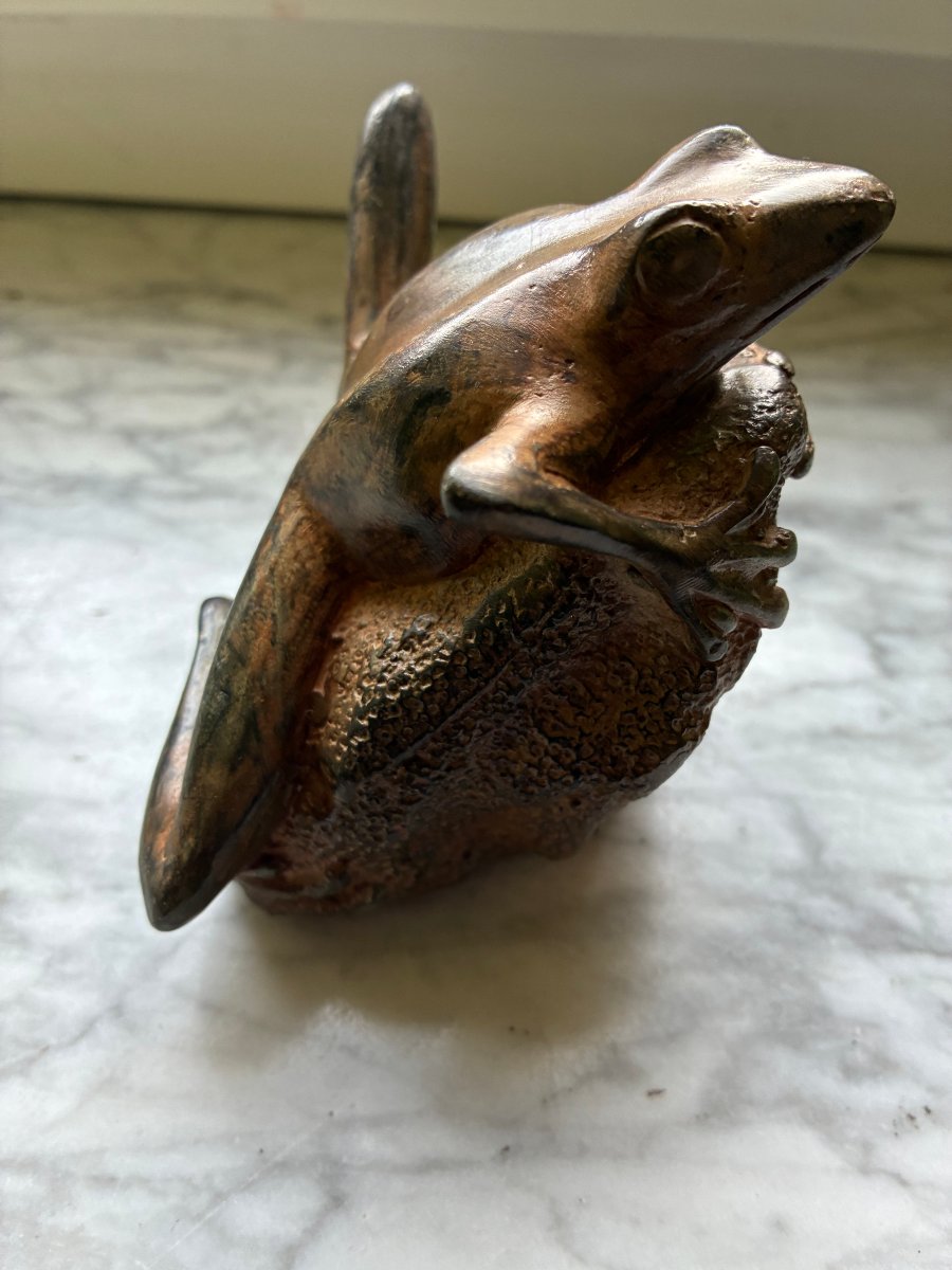 Bronze Frog - Pierre Chenet-photo-4