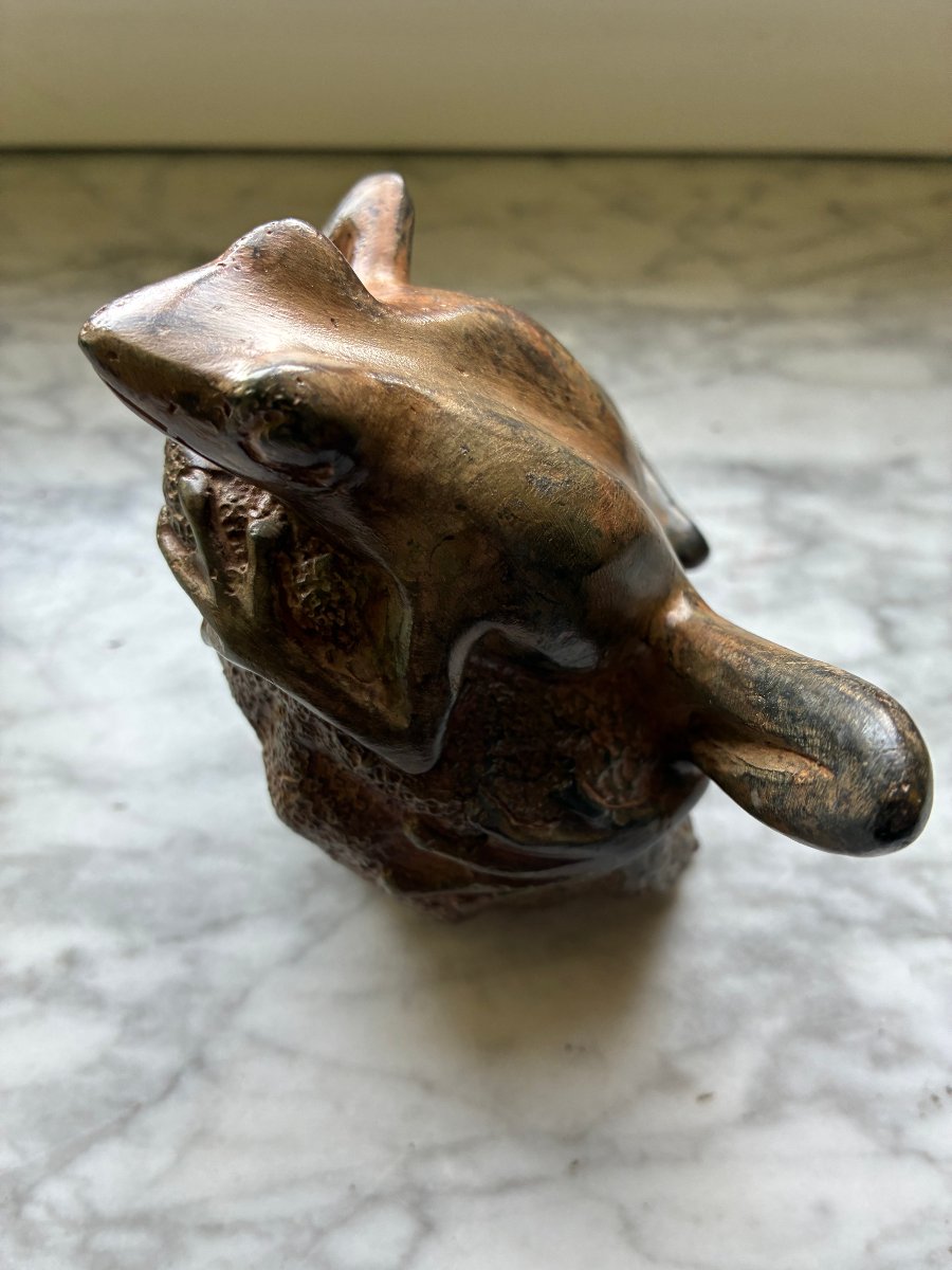 Bronze Frog - Pierre Chenet-photo-2