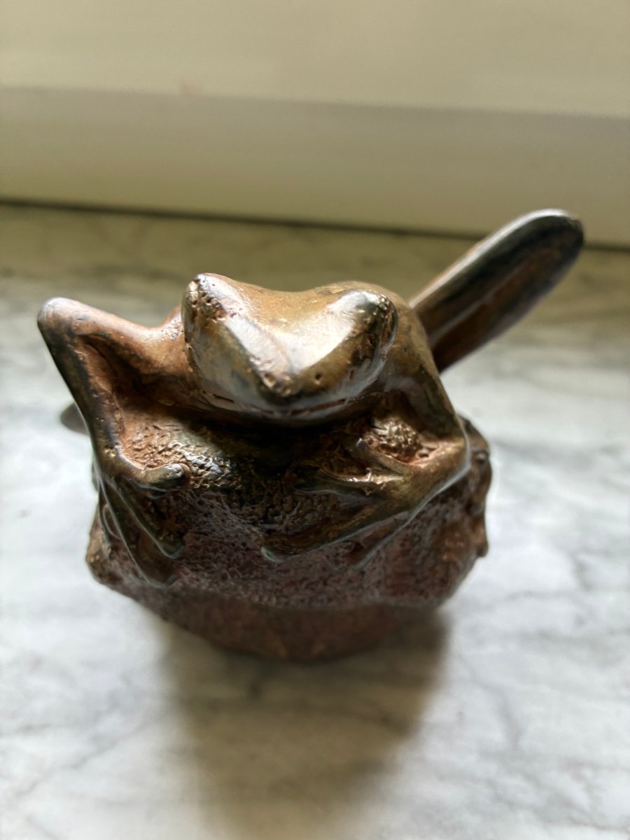 Bronze Frog - Pierre Chenet