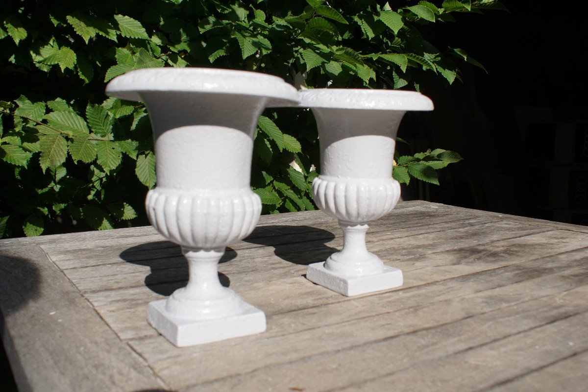 Pair Of Medici Vases