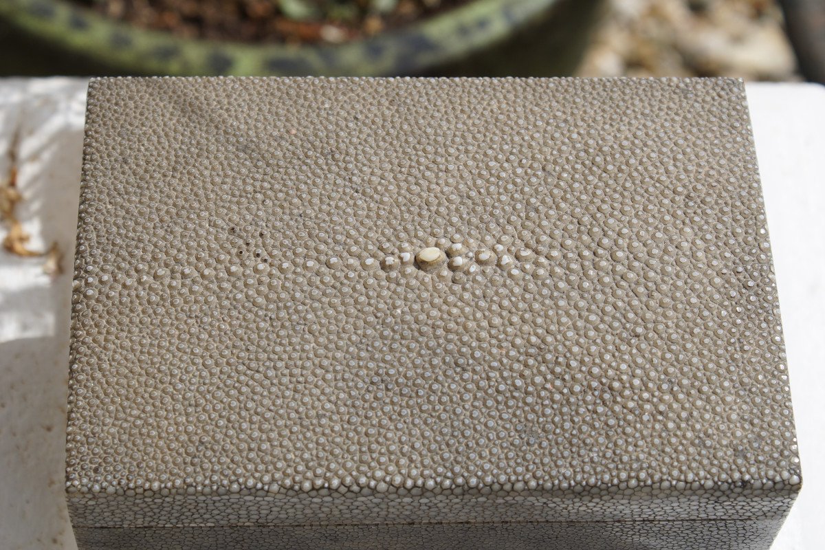 Stingray Box-photo-1