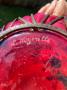 1503730-67cacfbca9bfd.jpg