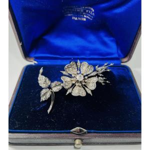 Broche trembleuse XIXe . Ecrin Lemoine Fils