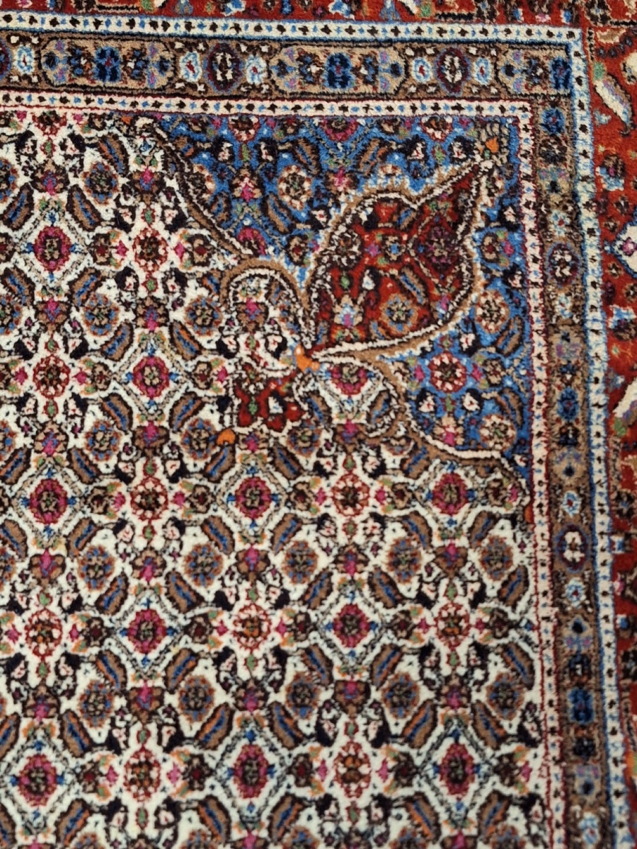 Tapis Vintage Noué Main Moud, Iran-photo-2