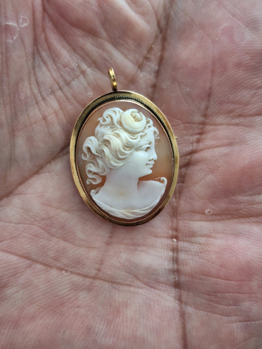Broche - pendentif vintage Camée, or 18 carats-photo-1