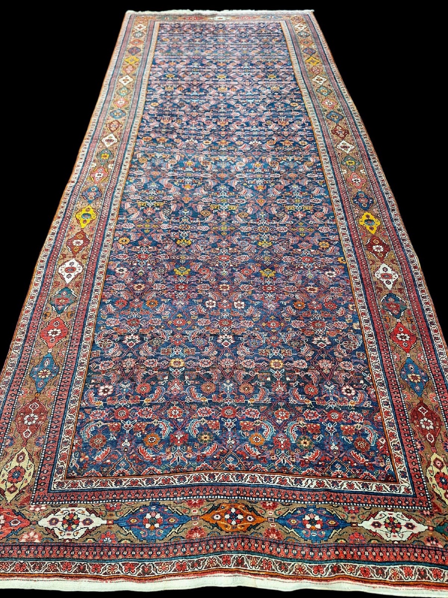 Grand tapis ancien fait main Bijar( Bidjar), Iran-photo-2