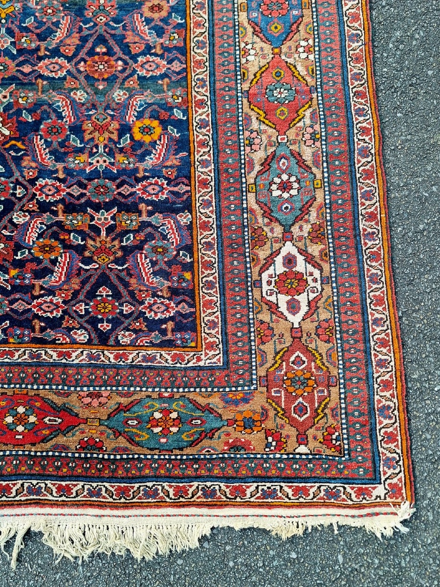 Grand tapis ancien fait main Bijar( Bidjar), Iran-photo-4