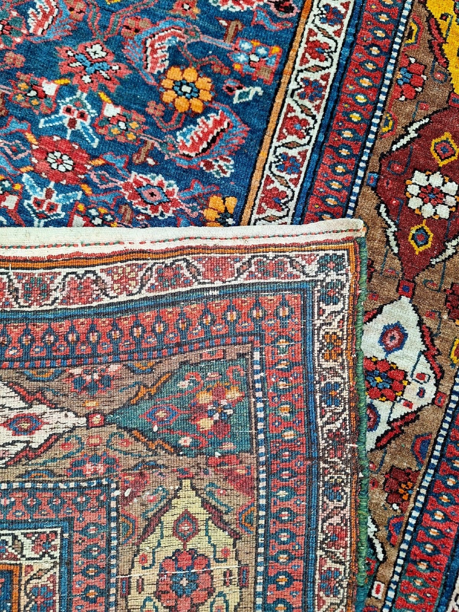 Grand tapis ancien fait main Bijar( Bidjar), Iran-photo-4