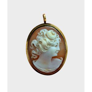 Broche - pendentif vintage Camée, or 18 carats