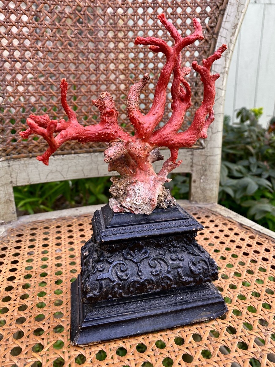 Coral Red Pedestal