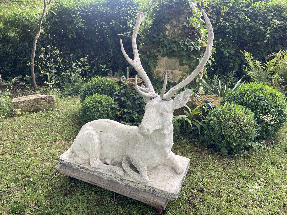 Large Lying Deer-photo-1