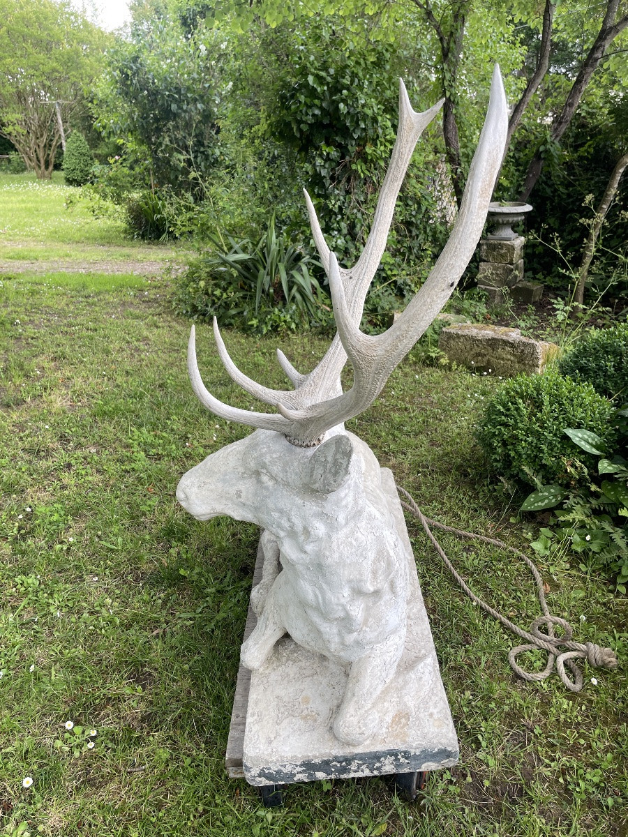 Large Lying Deer-photo-2