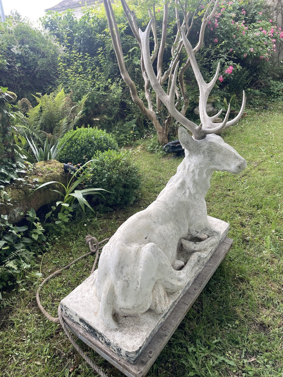Large Lying Deer-photo-3
