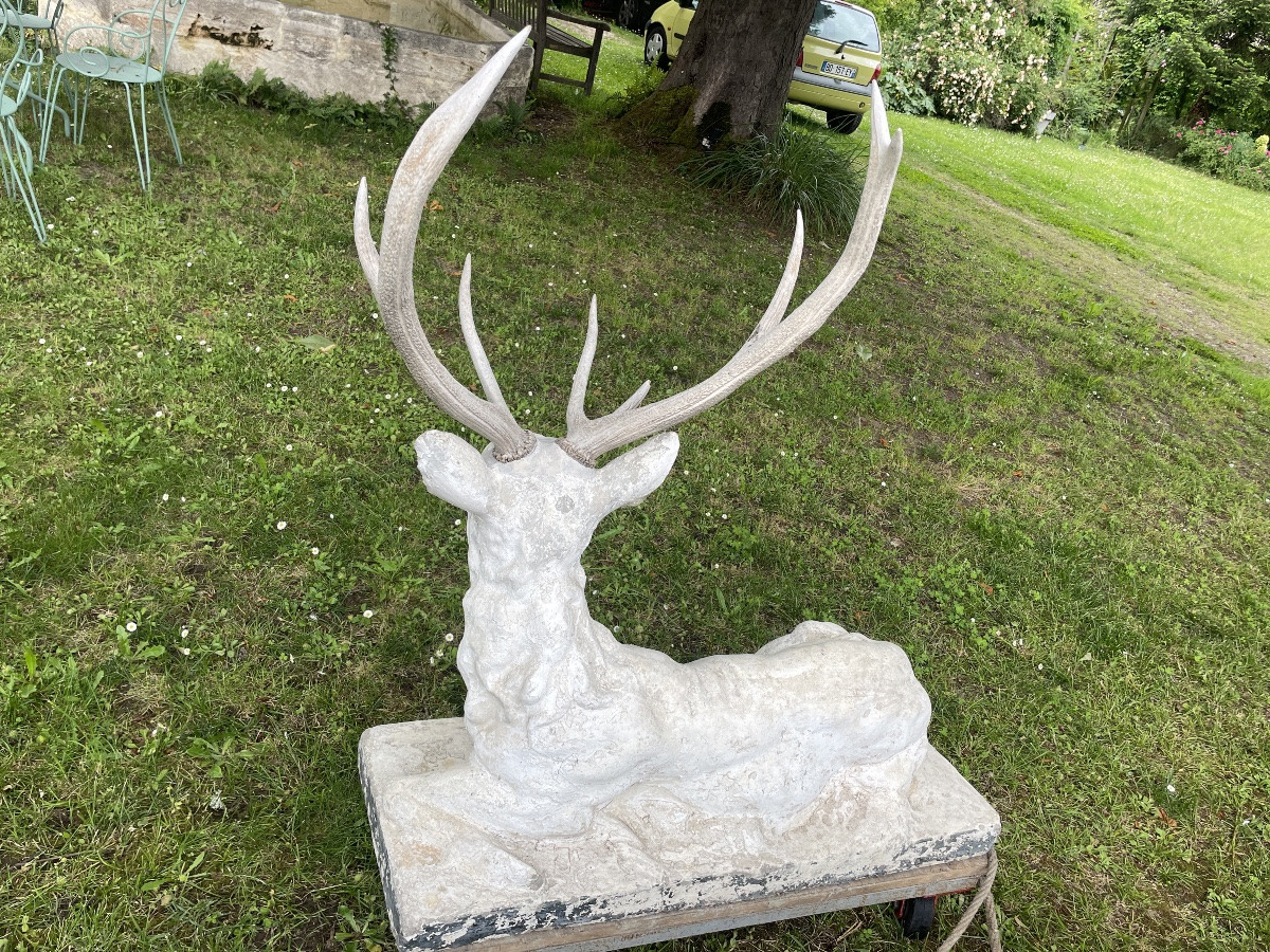 Large Lying Deer-photo-4