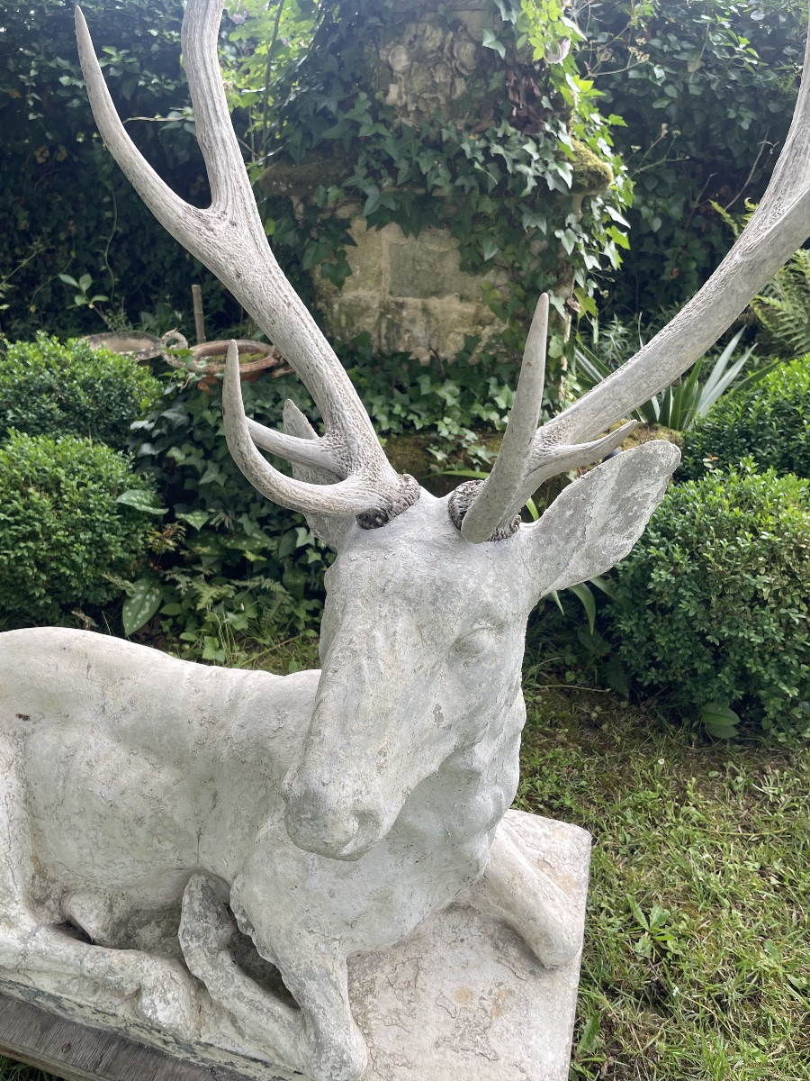 Large Lying Deer-photo-5