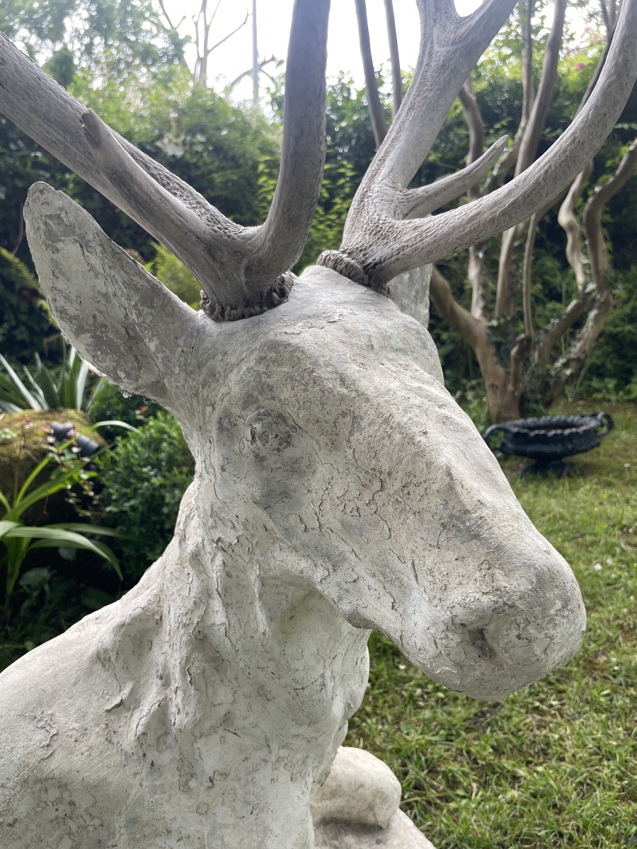Large Lying Deer-photo-6