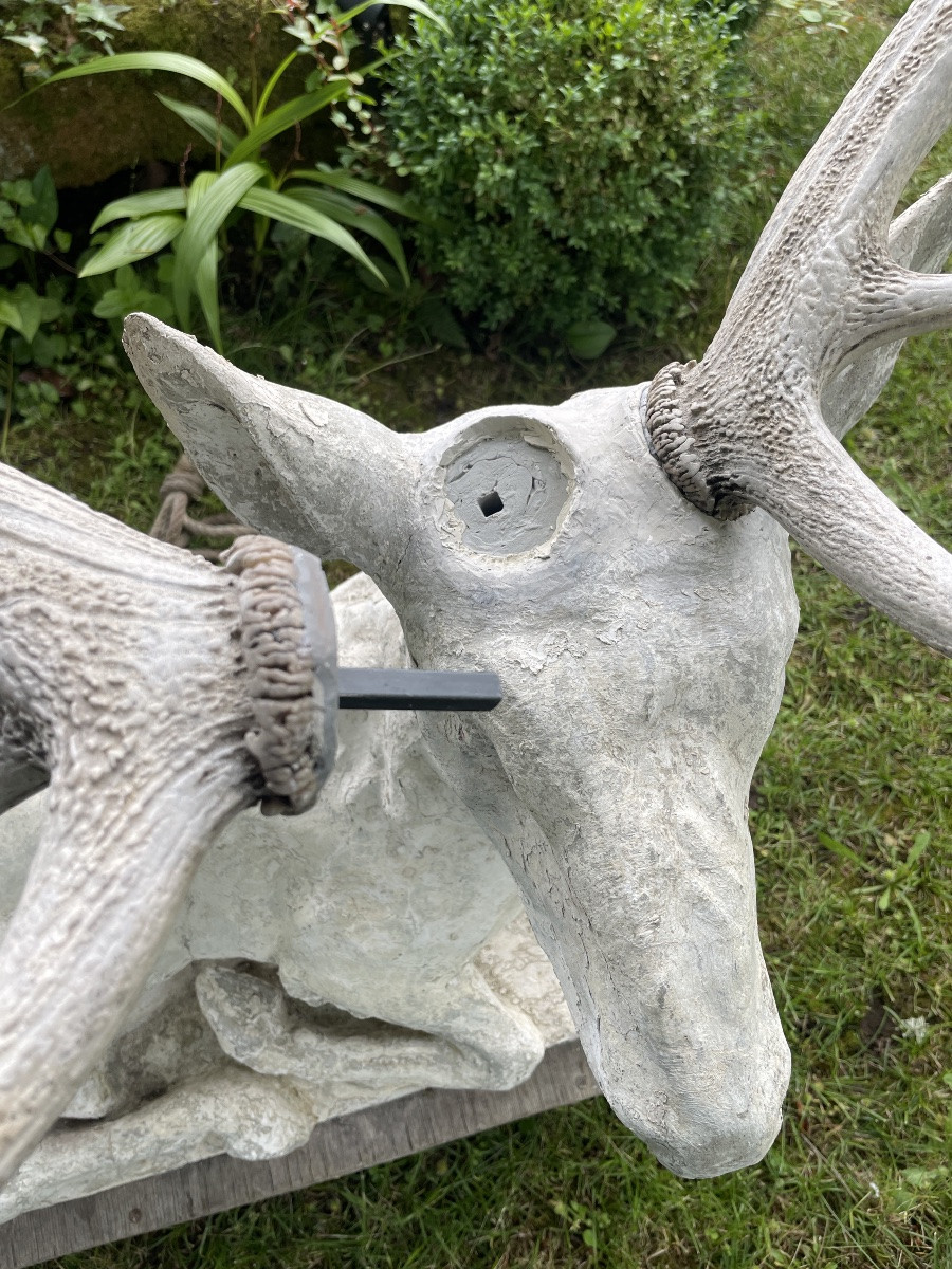Large Lying Deer-photo-7