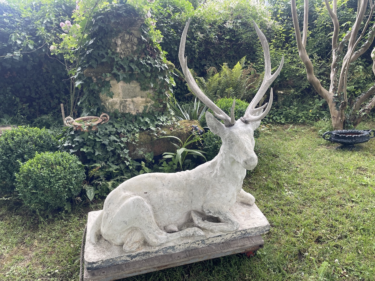 Large Lying Deer