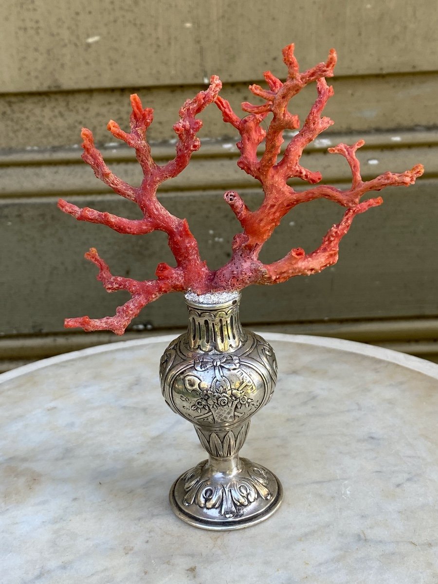 Mediterranean Red Coral On Silver Stand