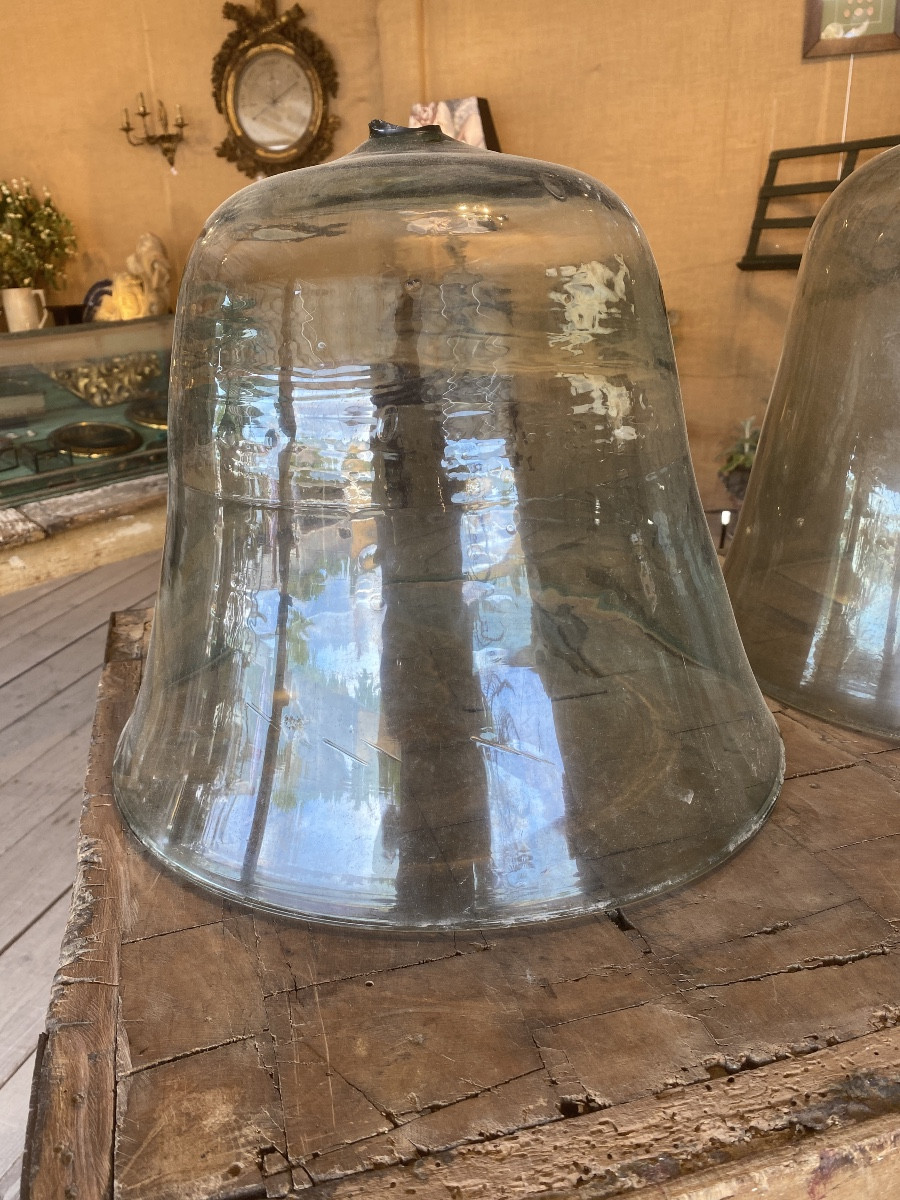 Cloches De Jardin, Cloches De Jardinier, Cloches à Melon En Verre Soufflé XIXè-photo-2