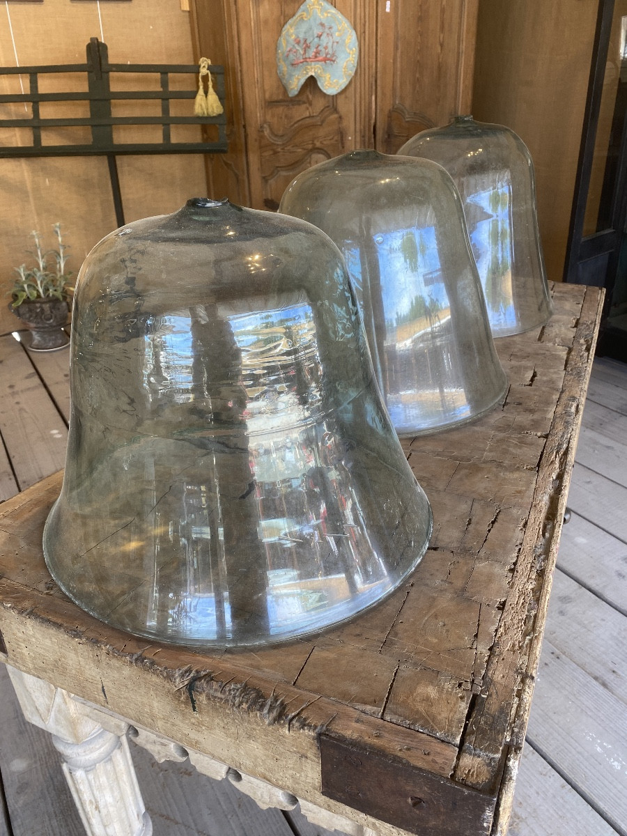 Cloches De Jardin, Cloches De Jardinier, Cloches à Melon En Verre Soufflé XIXè