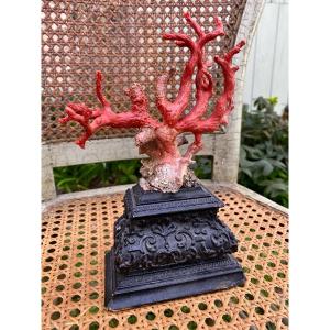 Coral Red Pedestal