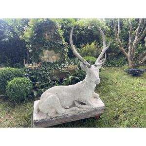 Large Lying Deer