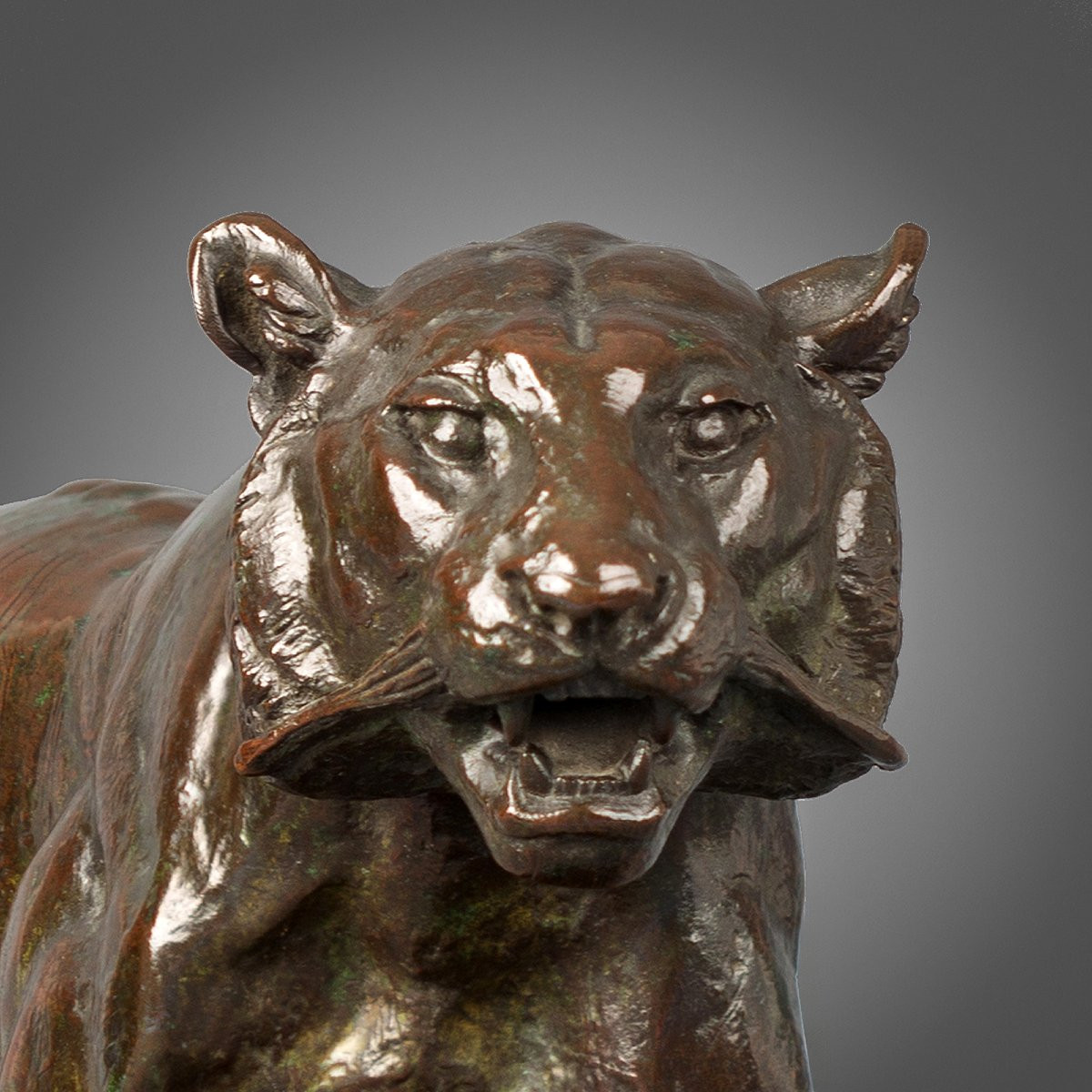 Walking Tiger, Antoine-louis Barye (1795 - 1875)-photo-4