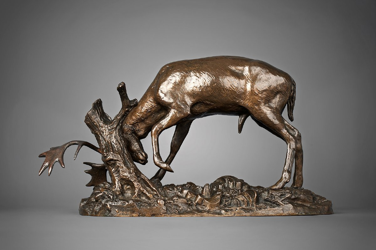 Daim frottant ses bois contre un arbre, Antoine-Louis Barye Paris (1795 - 1875)-photo-2