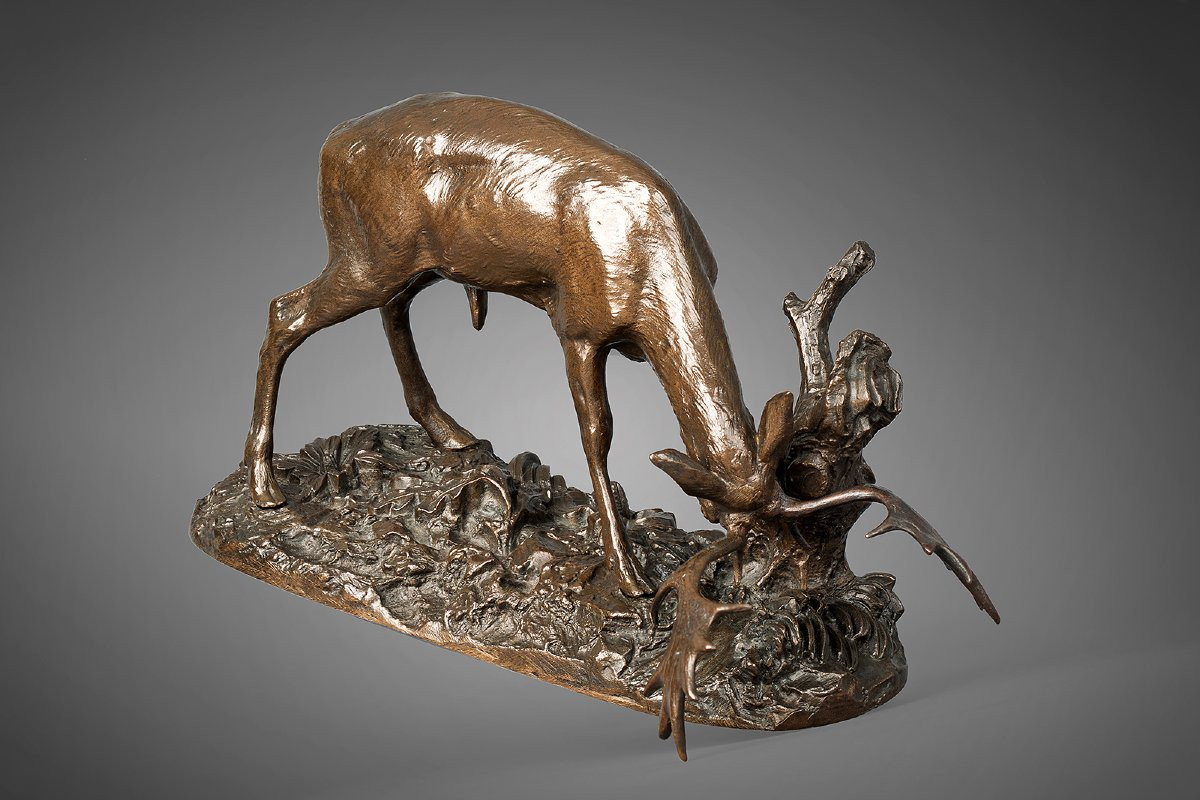 Daim frottant ses bois contre un arbre, Antoine-Louis Barye Paris (1795 - 1875)-photo-3