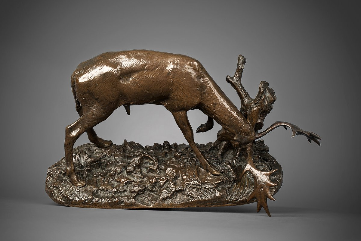 Daim frottant ses bois contre un arbre, Antoine-Louis Barye Paris (1795 - 1875)-photo-4