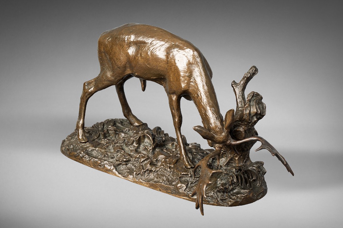 Deer Rubbing Its Antlers Against A Tree, Antoine-louis Barye, Paris (1795-1875)-photo-3