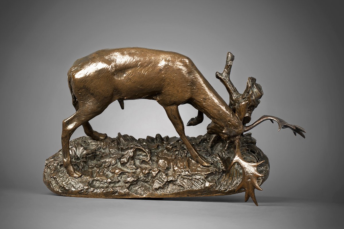 Deer Rubbing Its Antlers Against A Tree, Antoine-louis Barye, Paris (1795-1875)-photo-4