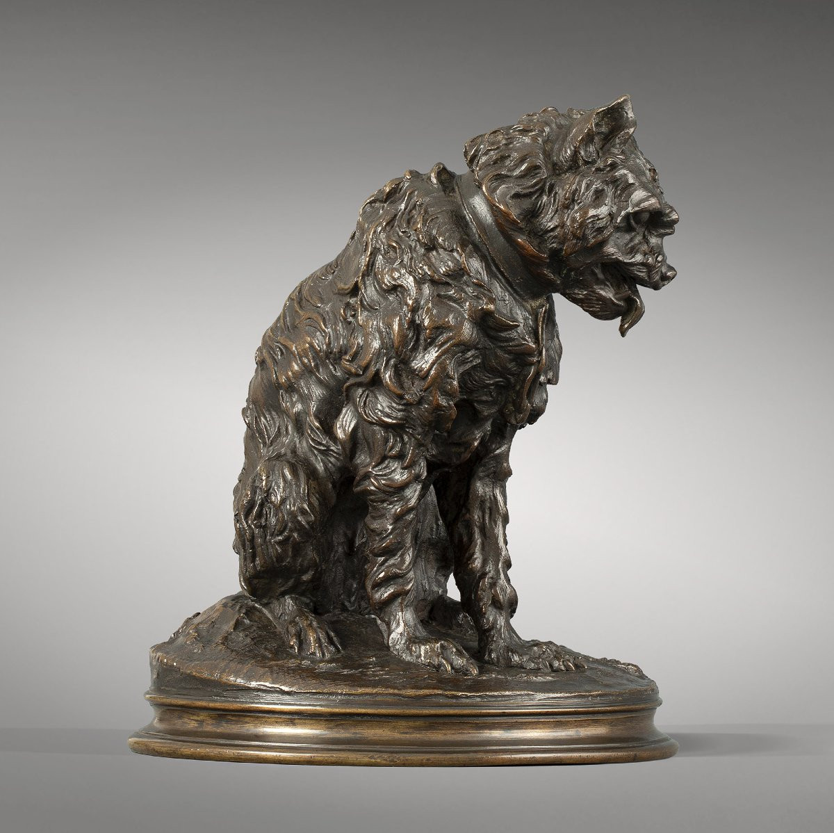Sitting Dog "griffon" -photo-2