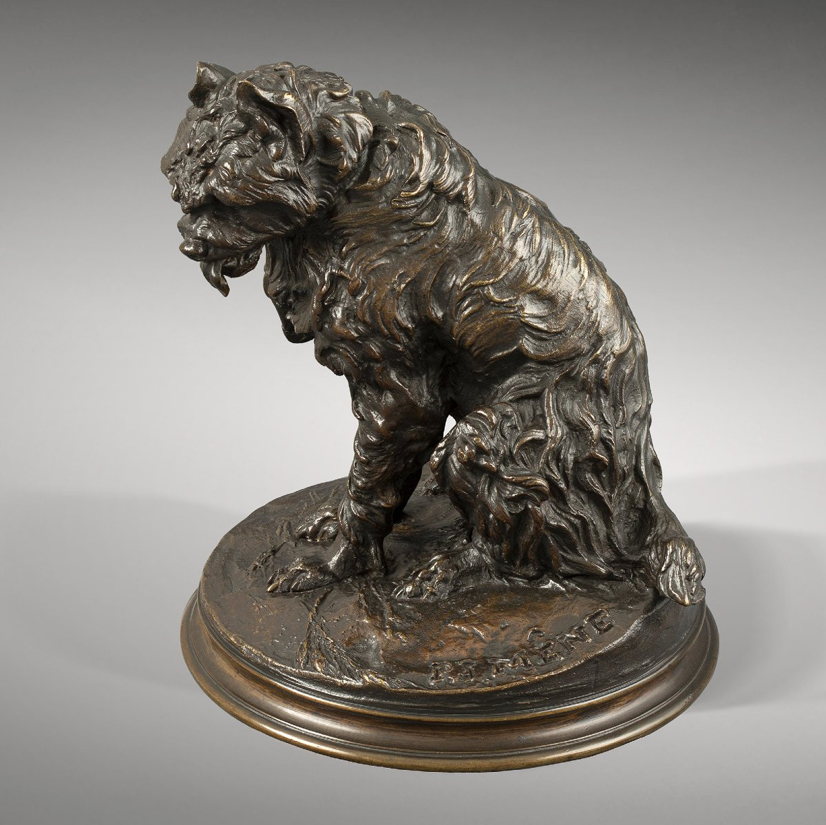 Sitting Dog "griffon" -photo-3