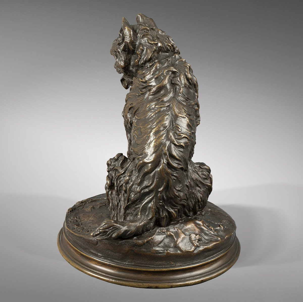 Sitting Dog "griffon" -photo-3