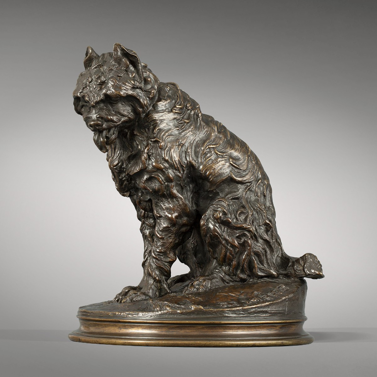 Sitting Dog "griffon" 