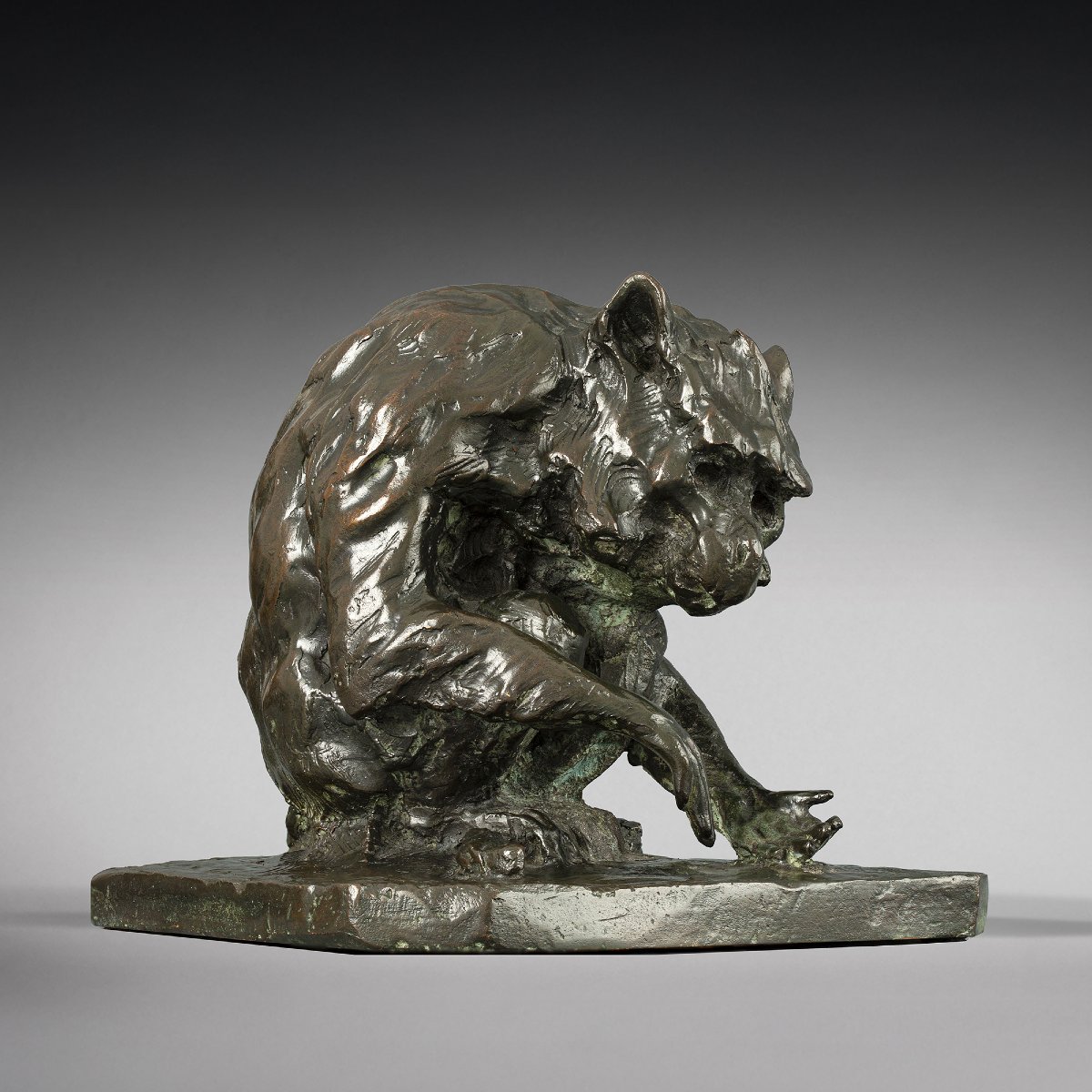 Singe assis  Guido Righetti (1875 - 1958) 