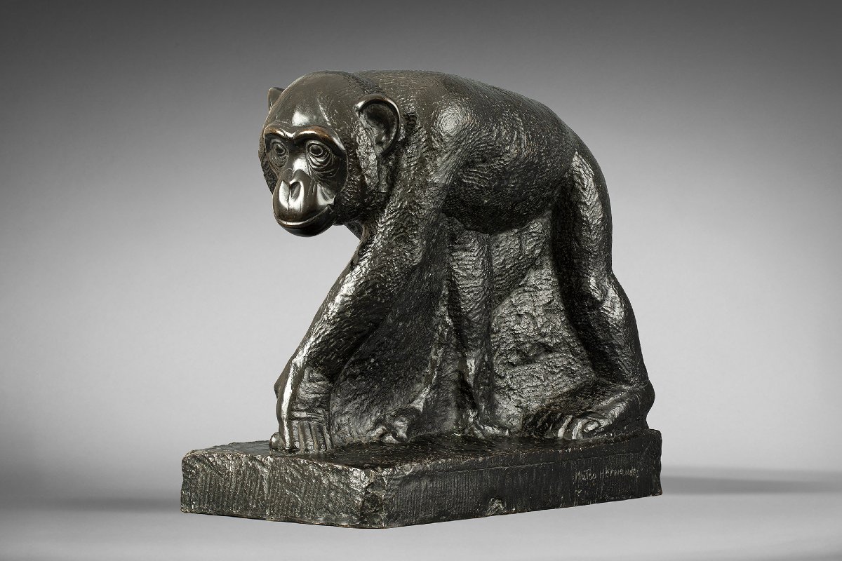 "chimpanzee" Mateo Hernández (1885 - 1949)-photo-2