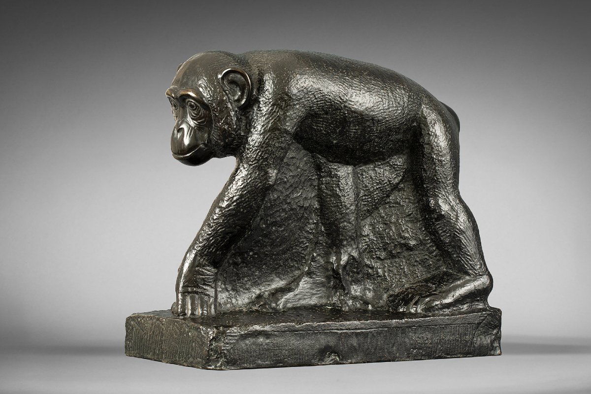"chimpanzee" Mateo Hernández (1885 - 1949)-photo-3
