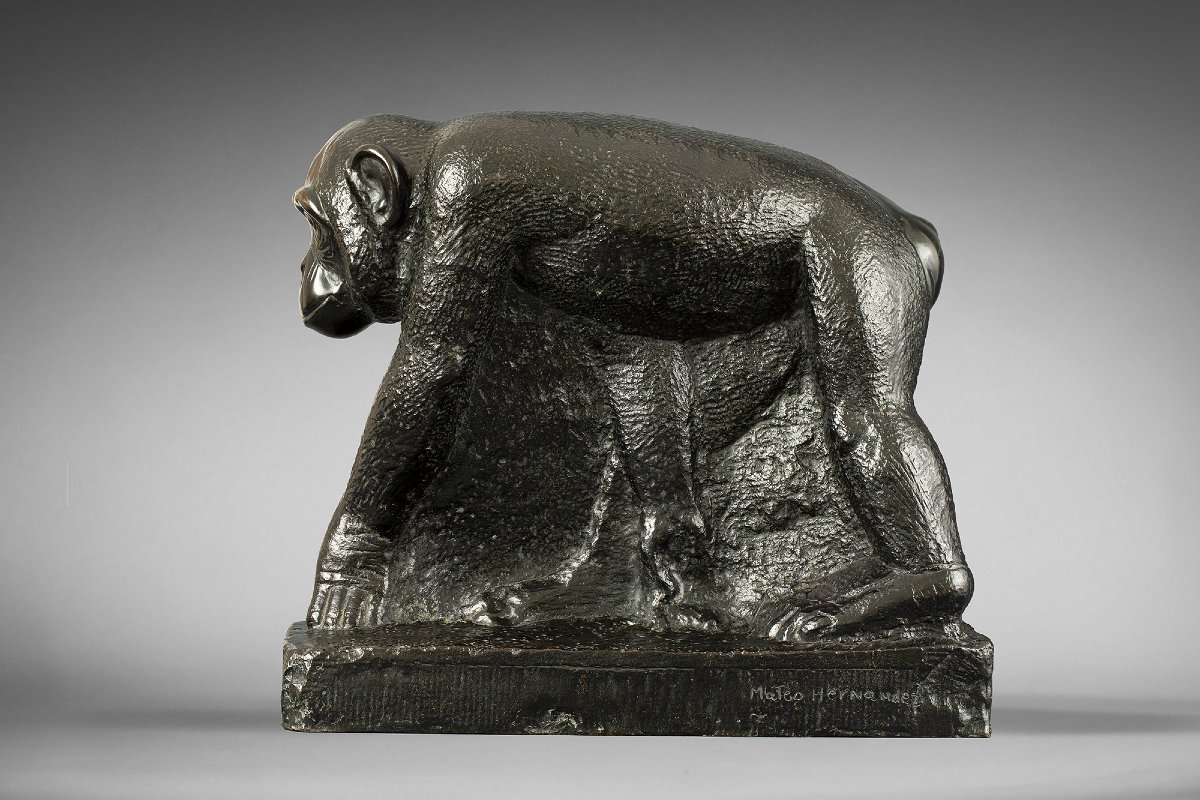 "chimpanzee" Mateo Hernández (1885 - 1949)-photo-4