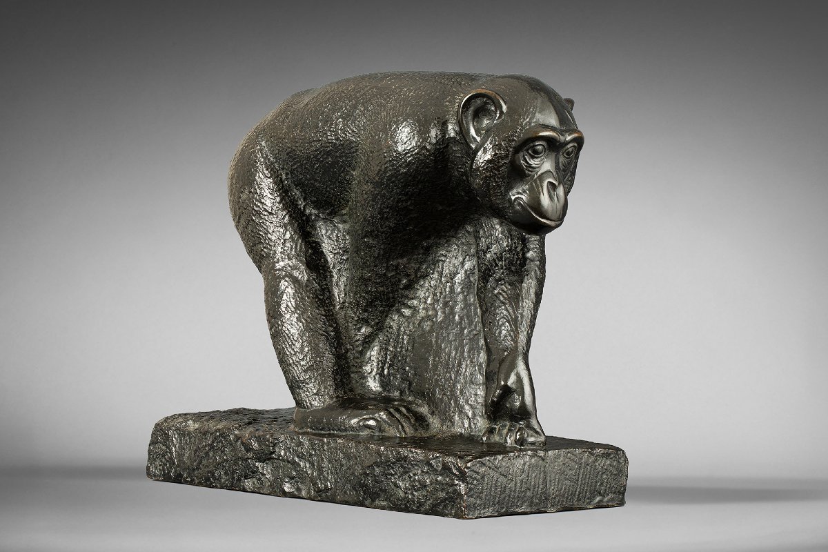 "chimpanzee" Mateo Hernández (1885 - 1949)-photo-3